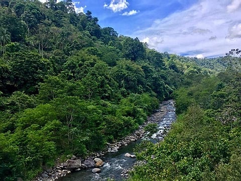 Photo courtesy of Save Davao Watershed Facebook page