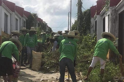 SAGAY. Workers clean the units of the Yolanda Housing Project at Barangay Paraiso in Sagay City, days after photos of these houses covered with grass went viral on social media. (Contributed photo)
