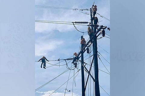 Electricity spot market prices decline in July