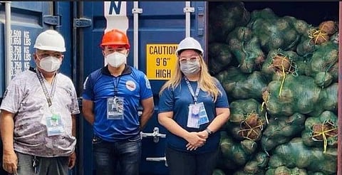 BANNED. The Bureau of Customs-Port of Cebu seizes 42 containers of mature coconuts bound for China on Saturday, December 11, 2021. There is an export ban on mature coconuts. (BOC-Port of Cebu photo)