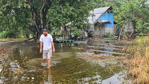 DOH warns vs self-medicating with doxycycline for leptospirosis