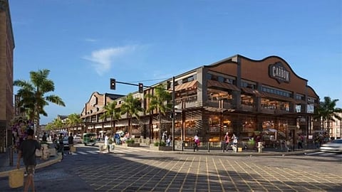 Carbon Market redevelopment