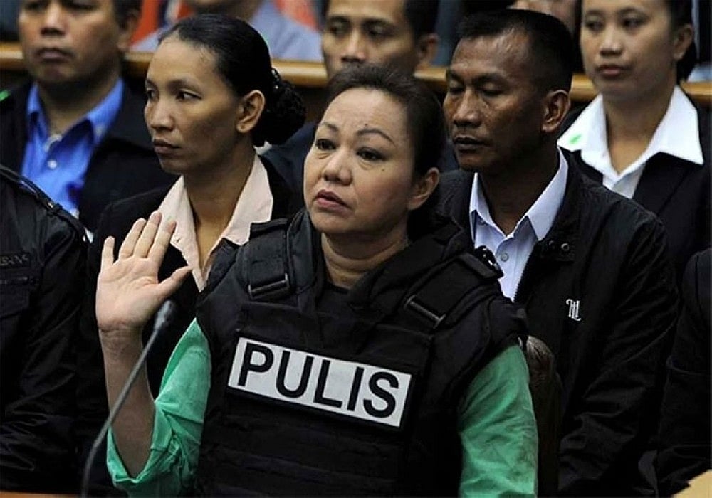 Sandiganbayan convicts Napoles of malversation in P50m farm funds case