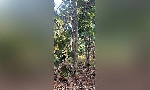 Pinaambit sa pamilya sa biktima