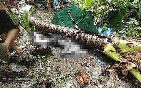 Photos from Sogod Police