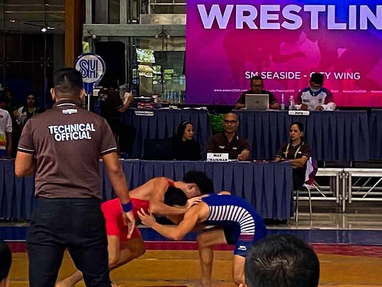 Western Visayas 3rd in medal tally at 2024 Palarong Pambansa