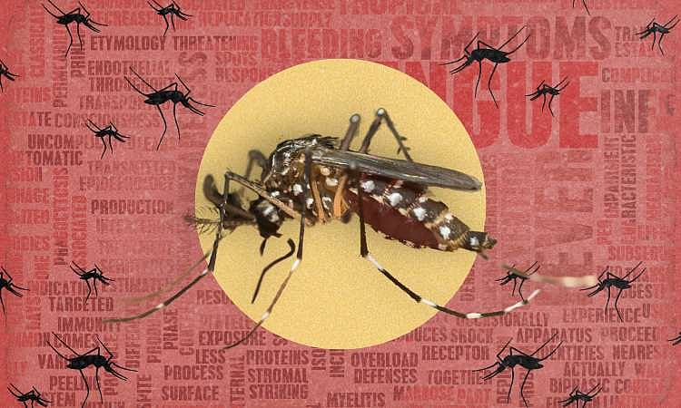 DOH: PH seeing lower dengue cases so far