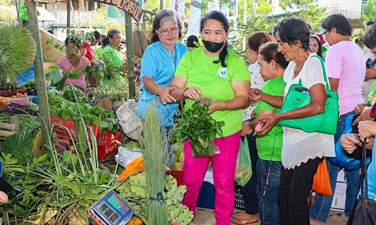 CAgrO distributes seedlings for Fisherfolk’s Month 2025