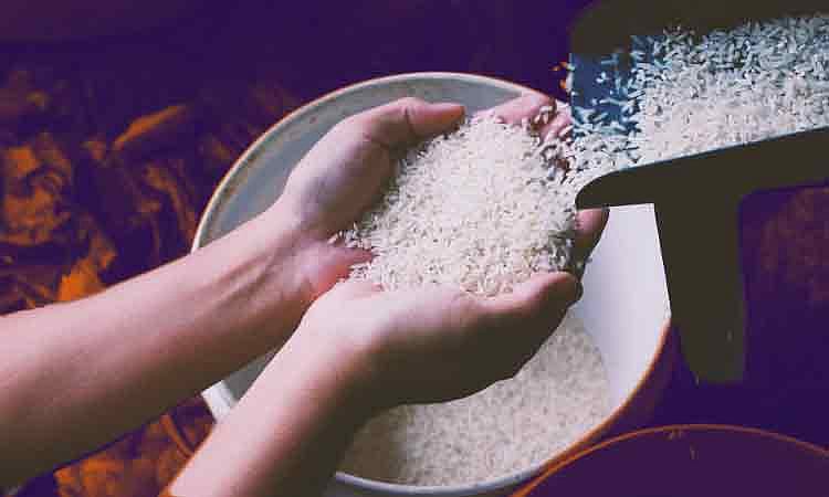 Baste Questions Implementation of P20/Kilo Rice Program