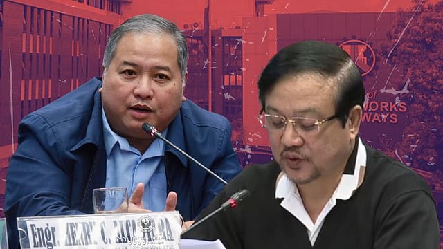 DOJ admits ex-DPWH officials, contractor to WPP