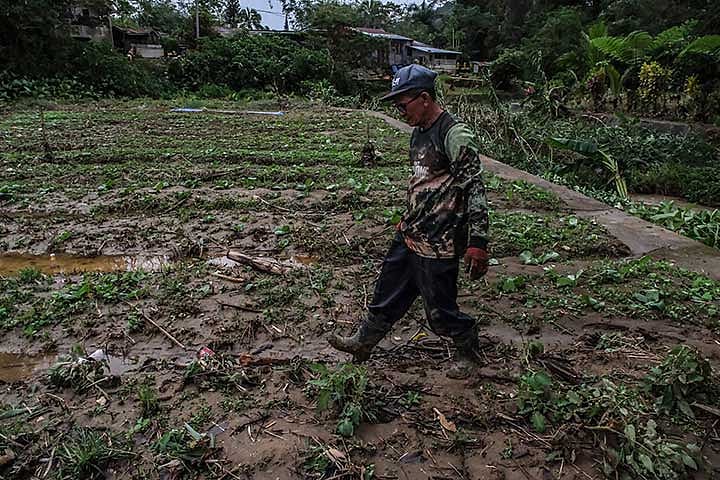 Lack of rain affects over 600 Cebu City farmers