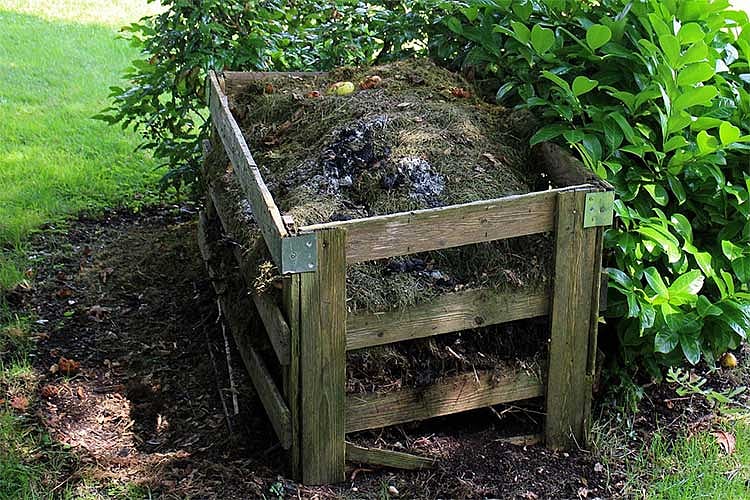 Cebu City pushes home composting