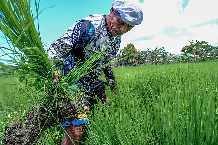 Mindanao farmers gain market power
