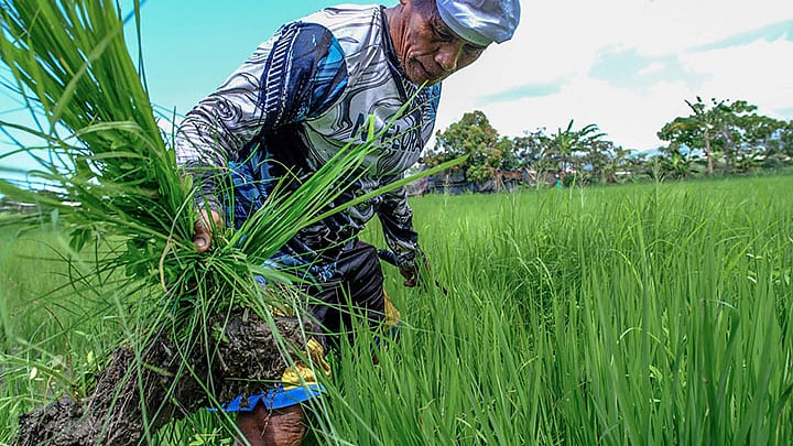 Cebu Maps Water Sources Amid Strong El Niño Threat