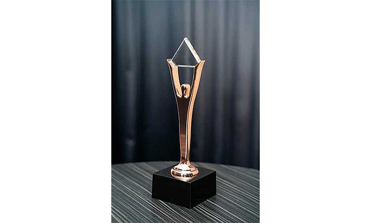 WSP Inc PR firm wins Bronze Stevie Award