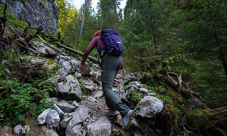 ‘Does anyone actually research the mountains?’ — Yes, it’s a gift of science