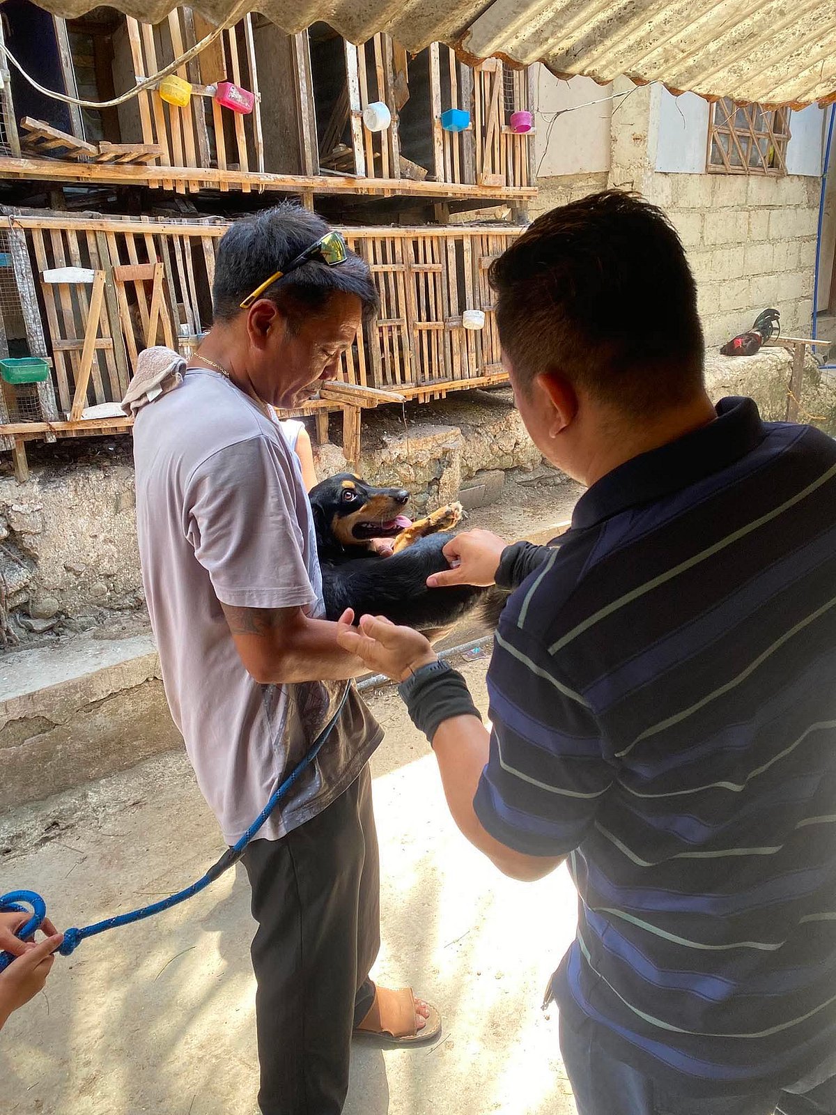 Cebu City faces anti-rabies vaccine shortage amid rising demand