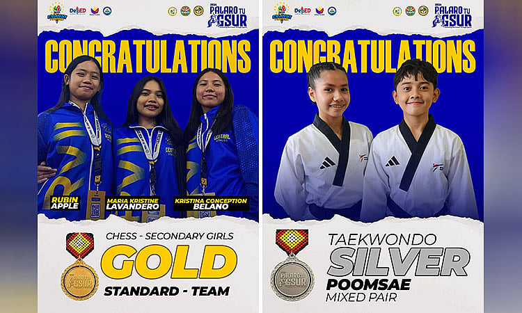 Cebuano athletes win medals in 2026 Palarong Pambansa chess, taekwondo events