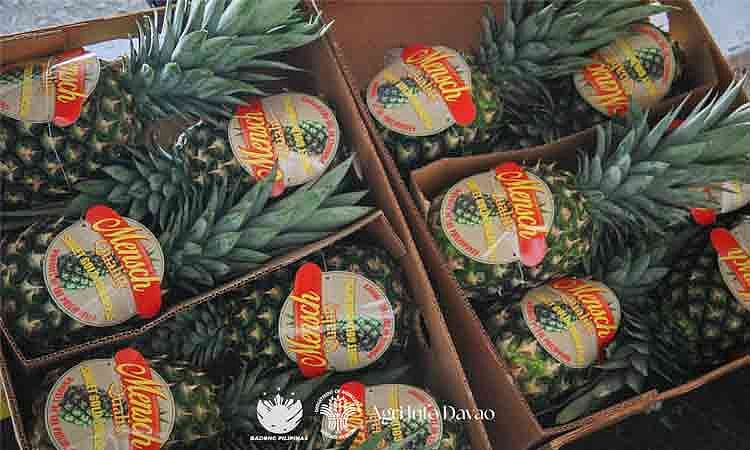 DA-Davao expands pineapple exports to Saudi Arabia