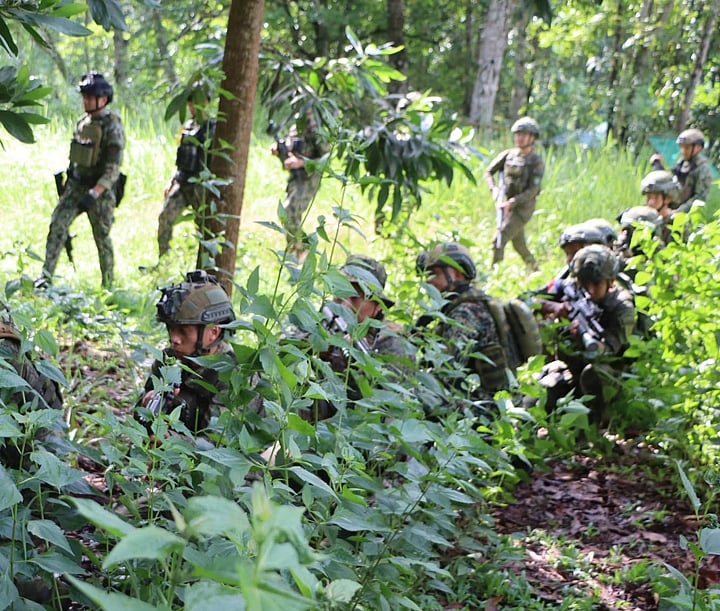 53IB conducts exercise on combat tracking operations