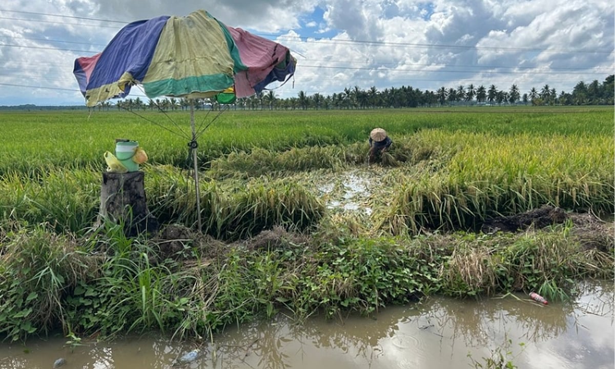 Regional Rump Davao Officials Assure Stable Water Supply Amid El Niño