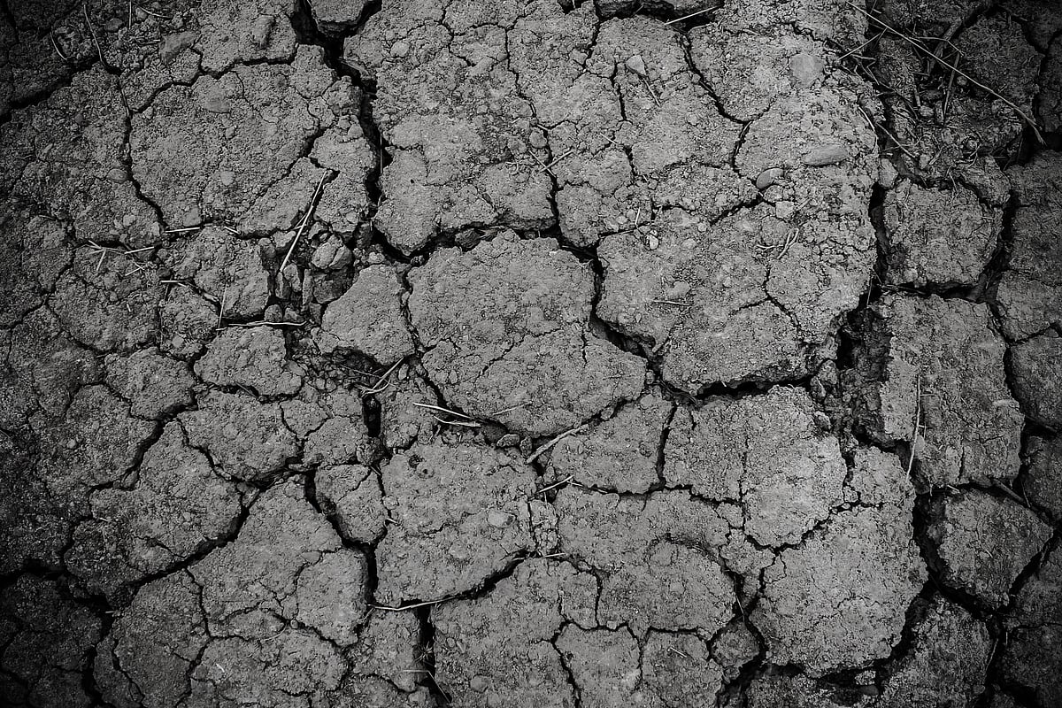 DA proposes P61.99B action plan for El Niño