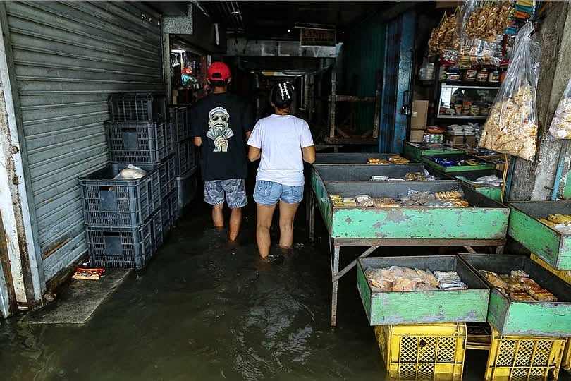 Leptospirosis cases down by more than half in recent weeks
