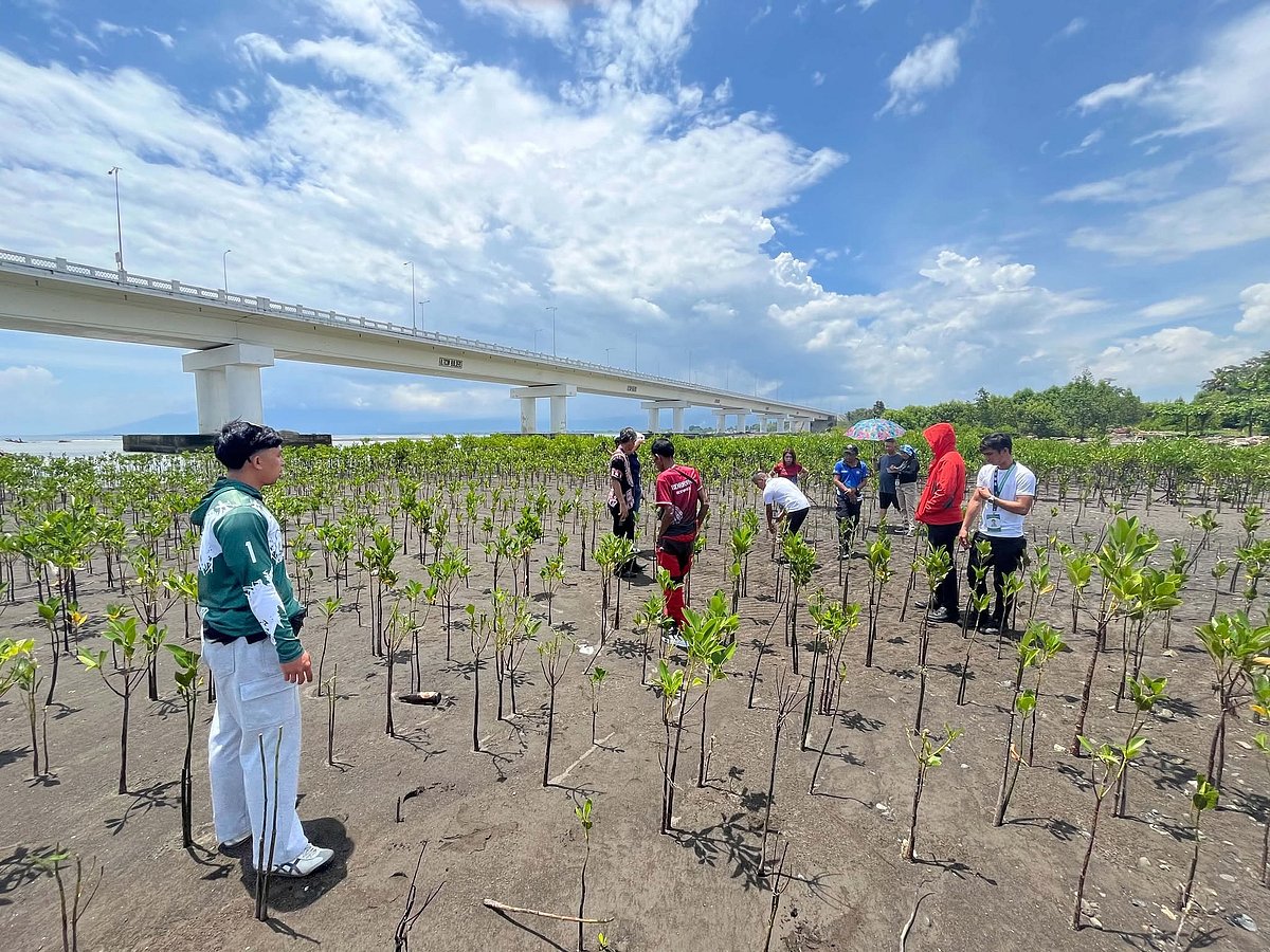 Minors identified in mangrove destruction in Matina Aplaya