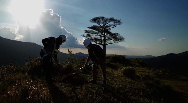 Narra tree planting batok baha ilusad sa Cebu City