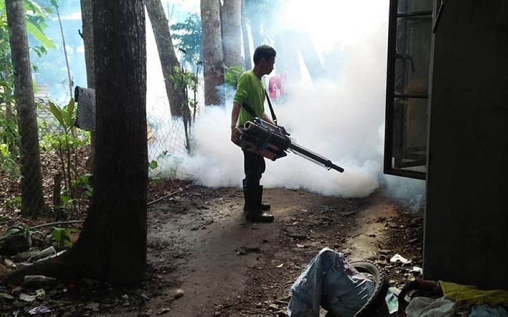 DavSur adjusts work hours to fuel cleanups as dengue cases h