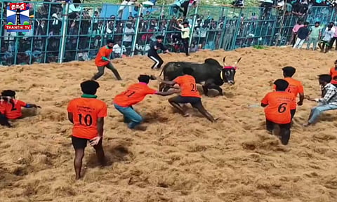 விராலிமலையில் ஜல்லிக்கட்டு போட்டி விறுவிறு.. சீறிப்பாயும் காளைகள்... மடக்கி பிடிக்கும் வீரர்கள்...
