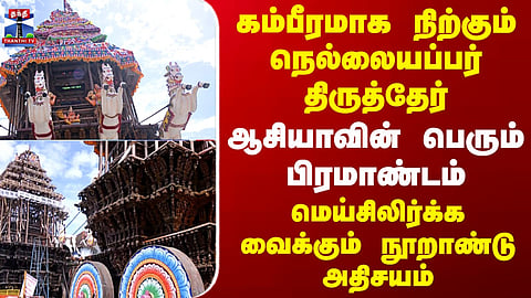Nellaiyappar கம்பீரமாக நிற்கும் நெல்லையப்பர் திருத்தேர் - மெய்சிலிர்க்க வைக்கும் நூறாண்டு அதிசயம்
