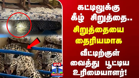 Panther | சிறுத்தையை தைரியமாக வீட்டிற்குள் வைத்து பூட்டிய உரிமையாளர்!