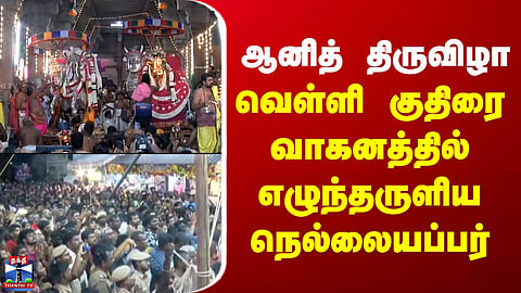 Nellaiyappar | ஆனித் திருவிழா - வெள்ளி குதிரை வாகனத்தில் எழுந்தருளிய நெல்லையப்பர்
