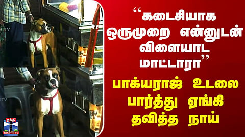 ``கடைசியாக ஒருமுறை என்னுடன் விளையாட மாட்டாரா’’ - பாக்யராஜ் உடலை பார்த்து ஏங்கி தவித்த நாய்