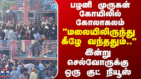 Palani Murugan Temple | பழனி முருகன் கோயிலில் கோலாகலம் -இன்று செல்வோருக்கு ஒரு குட் நியூஸ்
