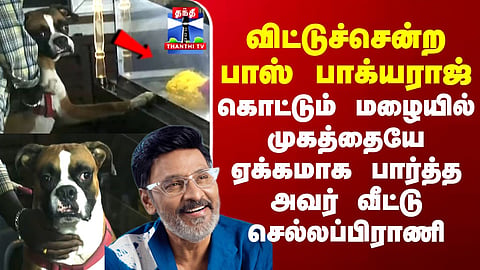 RIP Bhagyaraj | கொட்டும் மழையில் முகத்தையே ஏக்கமாக பார்த்த  பாக்யராஜ் வீட்டு செல்லப்பிராணி