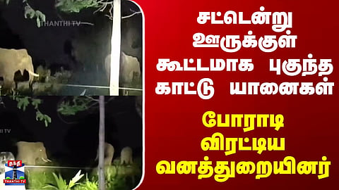 Wild Elephant | Erode | சட்டென்று ஊருக்குள் கூட்டமாக புகுந்த காட்டு யானைகள்..