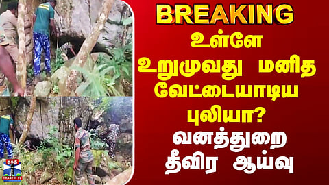 Is the Growl Inside from a Man-Eating Tiger? Forest Department Launches Intensive Search