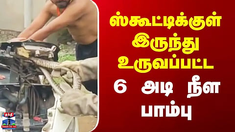 Snake | 6-foot-long snake pulled out from inside a scooter.