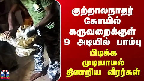 Viral Video: Snake inside the sanctum sanctorum of the Kutralanathar Temple – Rescue personnel struggle to capture it