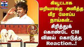 CMVijay | கியூட்டாக மரியாதை அளித்த வீர மோப்ப நாய்கள்..சிரித்துக் கொண்டே CM விஜய் கொடுத்த Reaction..!