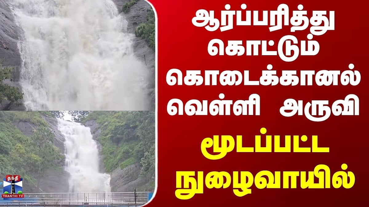 கொடைக்கானல் வெள்ளி அருவி: ஆர்ப்பரித்து கொட்டும் மழையால் மூடப்பட்ட ...