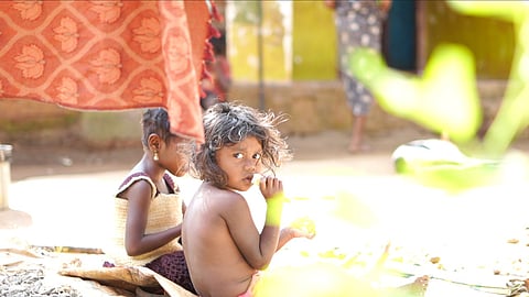വയനാടന്‍ കാപ്പിയുടെ രുചിക്ക് പിന്നിലുണ്ട് നഷ്ടപ്പെട്ടു പോകുന്ന ഈ ബാല്യജീവിതങ്ങള്‍