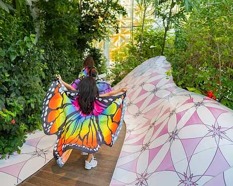  കുട്ടി പൂമ്പാറ്റകളേ വരൂ,ശലഭവീട്ടിൽ ജന്മദിനാഘോഷിക്കാം