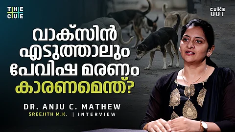 വാക്‌സിന്‍ എടുത്താലും പേവിഷ മരണങ്ങളുണ്ടാകുന്നു; കാരണം എന്താണ്? 

