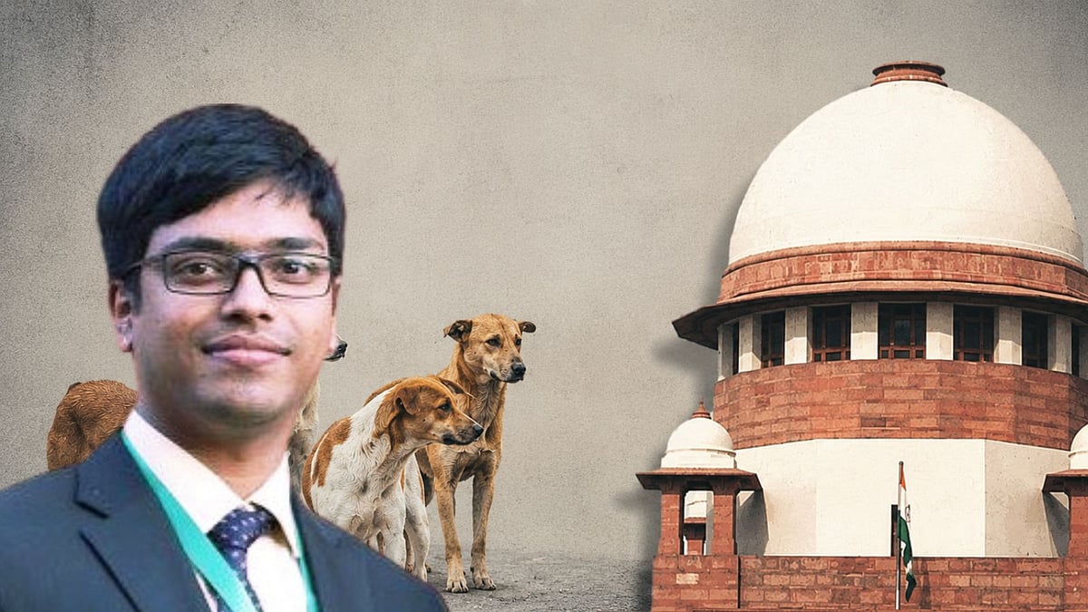 News 15 ‘Supreme Court’s stray dogs judgment tried to solve a public health problem by declaring war on a species’, animal law expert Vivek Mukherjee notes