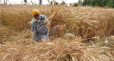 Farm Laws: Farming towards an Executive Overreach of the Judiciary
