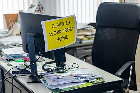 12 ways to survive the COVID-19 pandemic 