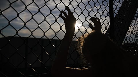 Political Will Required to Crack Down on Illegal Trafficking